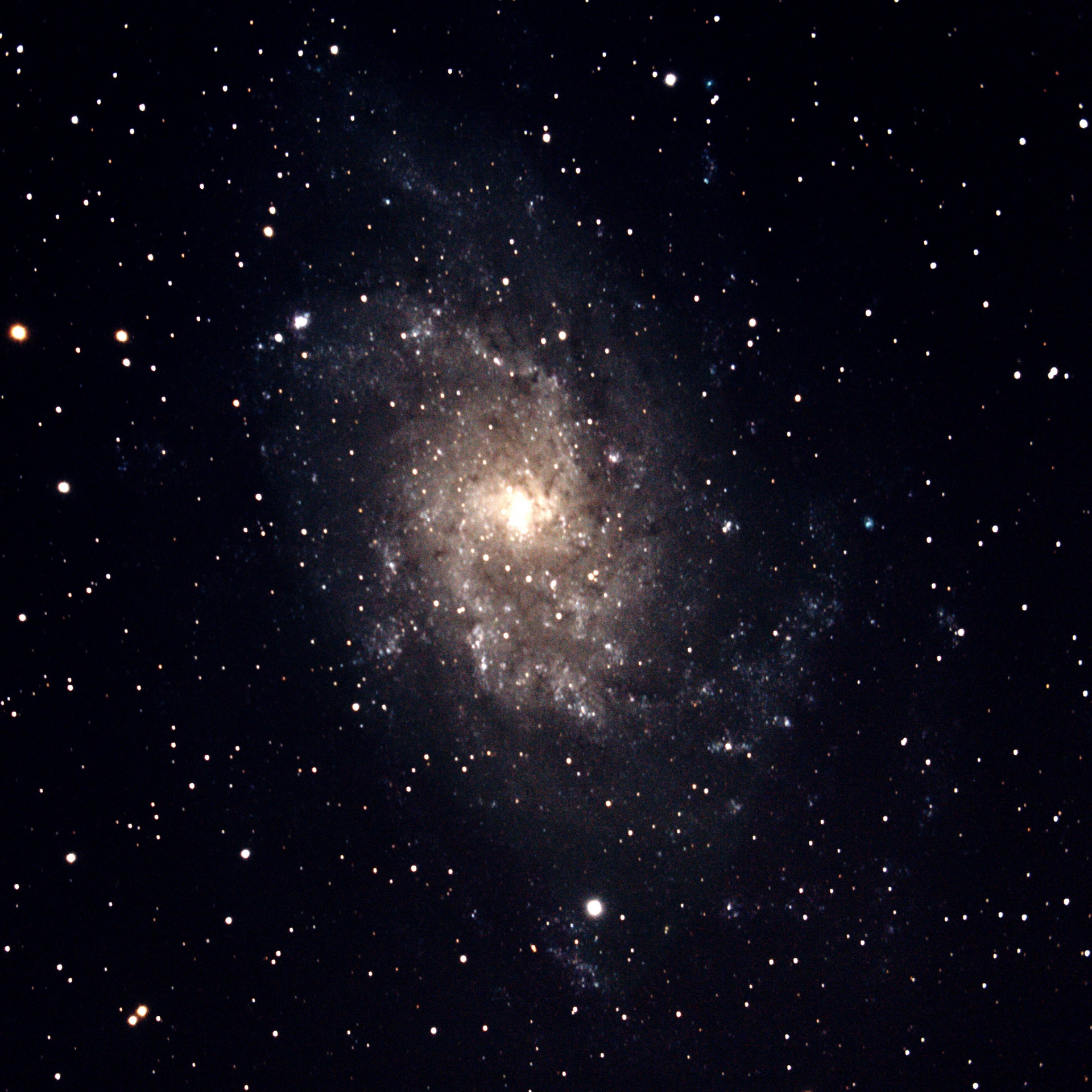 Messier 33 a great Galaxy in the Triangulum