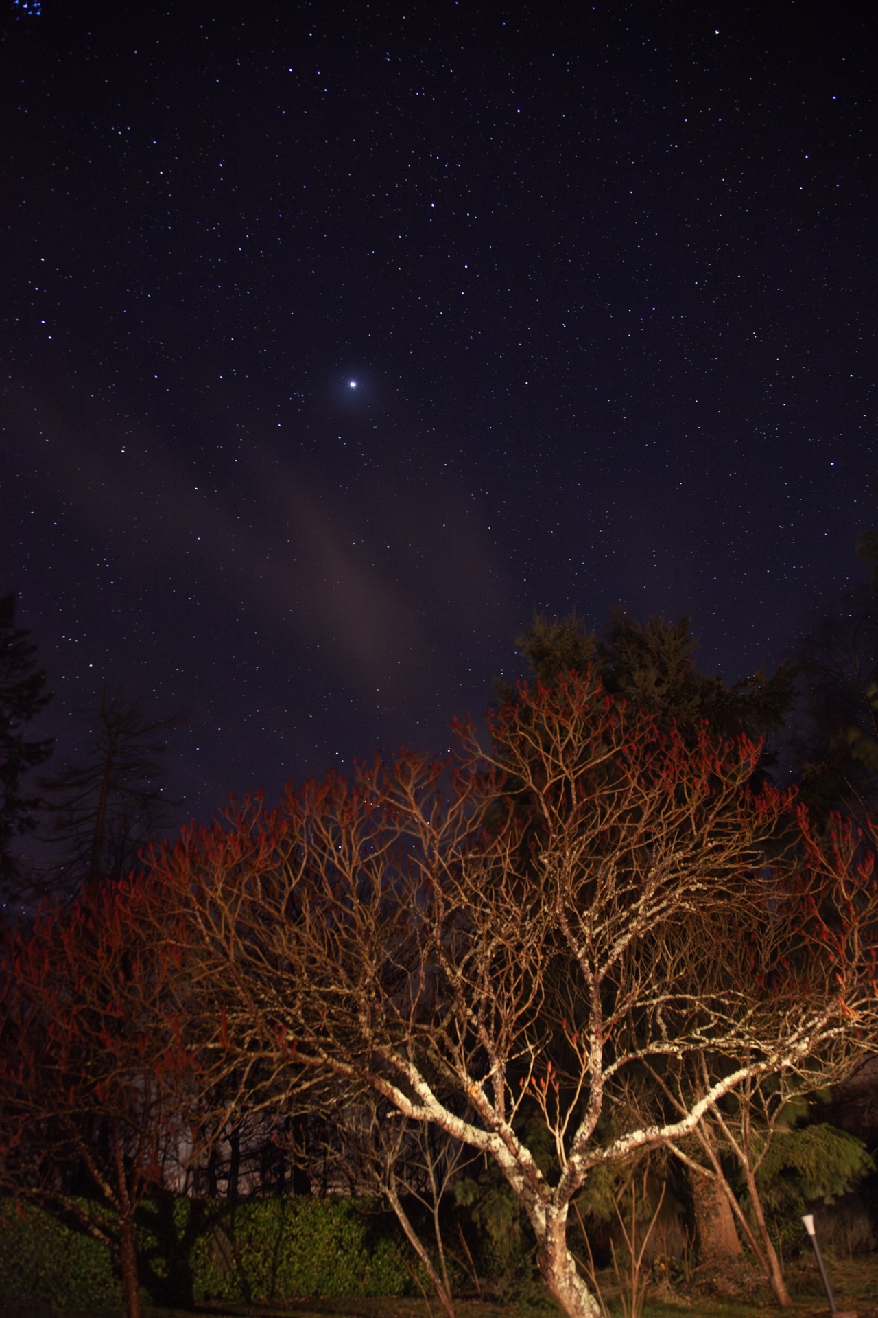 Under Jupiter by a windy night